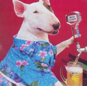 Meet your Posher, Silly